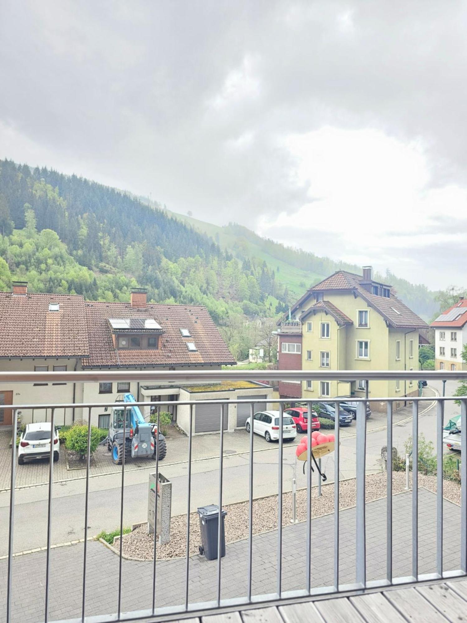 Black Forest I Sauna Auf Dem Balkon I Boxspring I Nespresso I Ausblick I Wasserfaelle Im Ort Todtnau Exterior photo